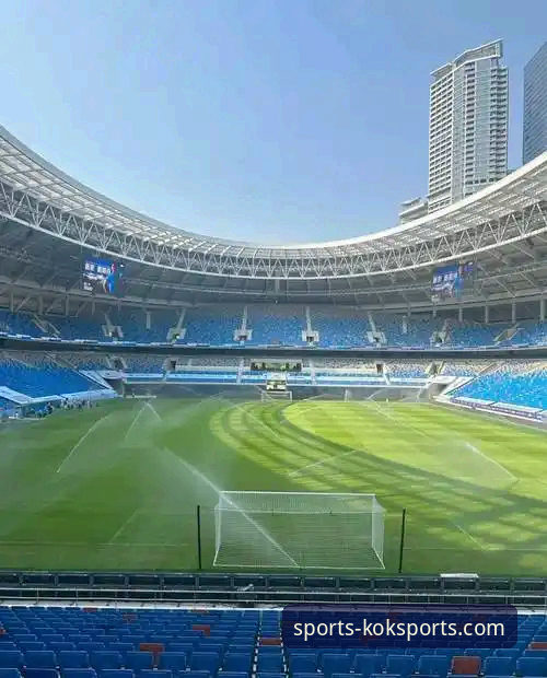 KOK体育官方平台安全性与使用教程全面评测：一次前瞻性的数字观赛体验探索